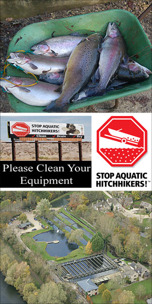 lechlade trout fishery bushyleaze trout farm angling uk cotswolds swindon cotswolds uk